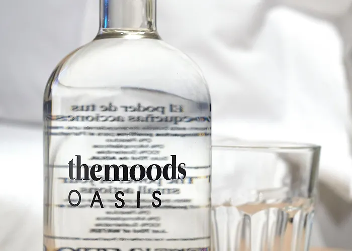 The Moods Oasis Hotel 3*
